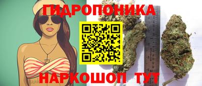 гашиш Камышлов