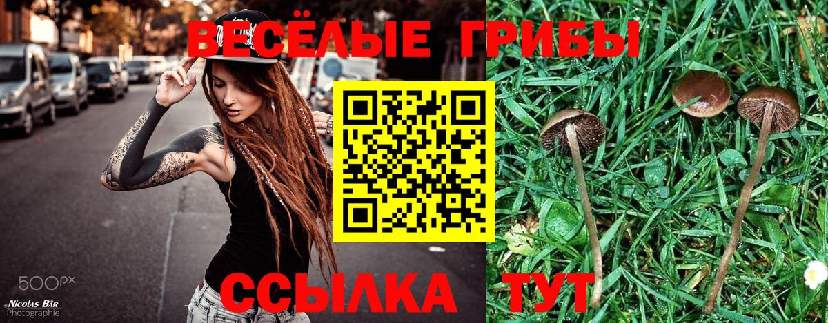 Галлюциногенные грибы прущие грибы Вольск