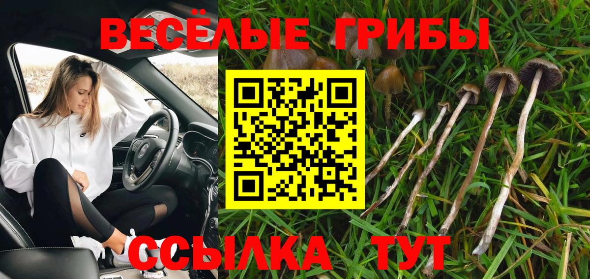 Галлюциногенные грибы мицелий  Вход с VPN  Вольск 